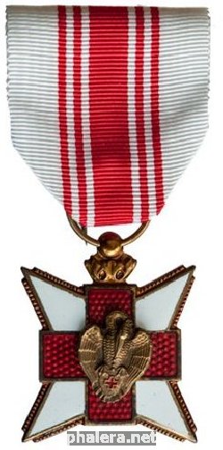 Нагрудный знак Бельгийского Красного Креста 