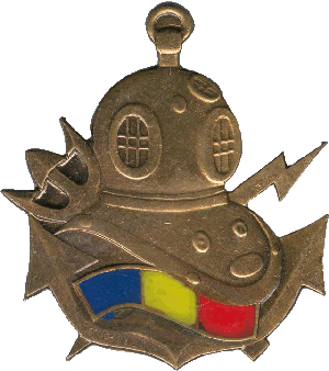 Нагрудный знак Военный дайвер 3 класса 