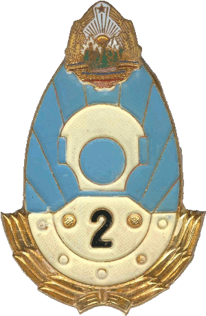 Знак Военный дайвер 2 класса
