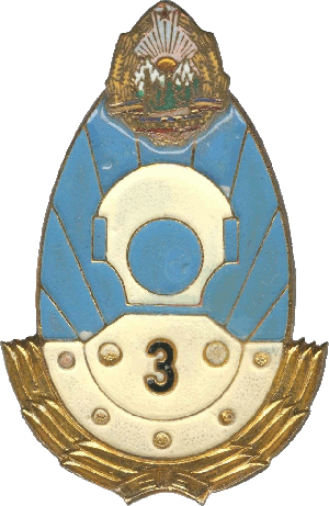 Знак Военный дайвер 3 класса
