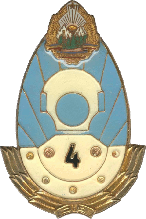 Нагрудный знак Военный дайвер 4 класса 