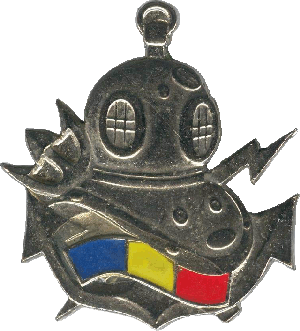 Знак Военный дайвер 2 класса