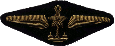 Badge Aircraft carrier crew member 