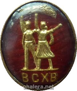 Нагрудный знак ВСХВ СССР 