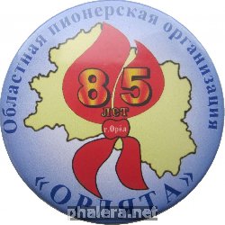Нагрудный знак 85 лет областной пионерской организации 