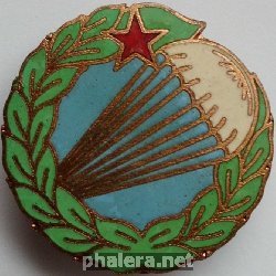 Нагрудный знак Парашютист отличник 