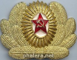 Знак Officer cap badge