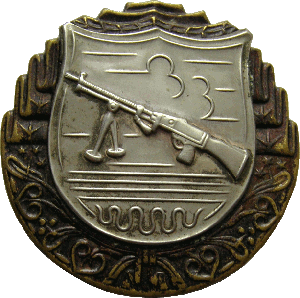 Нагрудный знак За отличную стрельбу из легкого пулемета, серебряная степень 