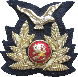Нагрудный знак Кокарда ВВС 