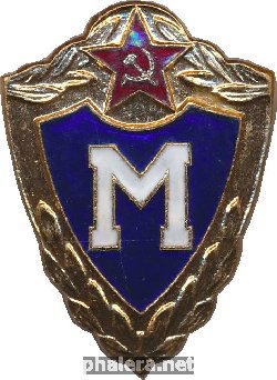 Нагрудный знак Мастер для рядового и сержантского состава 