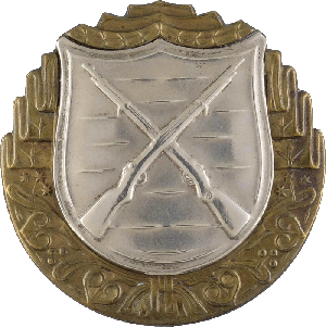 Нагрудный знак За отличную стрельбу из винтовки, серебряная степень 