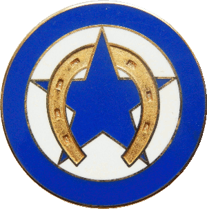 Знак 2nd company, 4th infantry regiment of foreign legion 