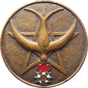 Нагрудный знак 1 стрелковый марокканский полк 