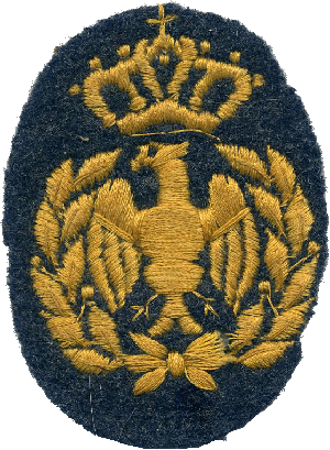 Нагрудный знак Кокарда ВВС 