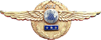 Знак Пилот