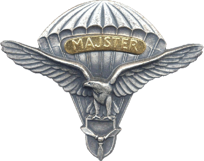 Нагрудный знак Мастер парашютист ВВС 