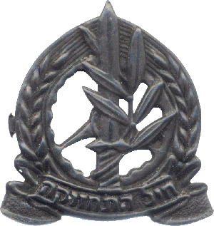Нагрудный знак Корпус Логистики 