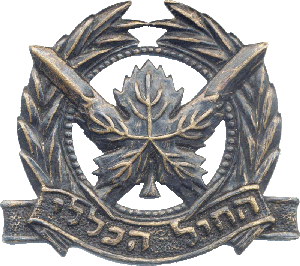 Нагрудный знак Общий корпус 