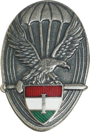 Нагрудный знак Парашютист 1 класса 