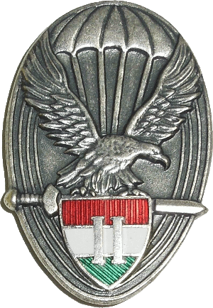 Нагрудный знак Парашютист 2 класса 