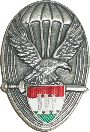 Нагрудный знак Парашютист 3 класса 