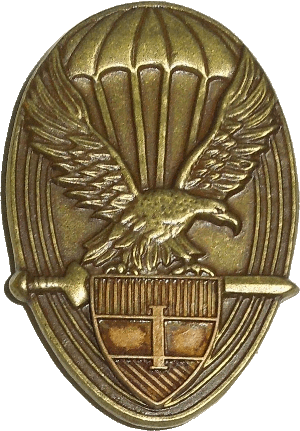 Нагрудный знак Парашютист 1 класса 