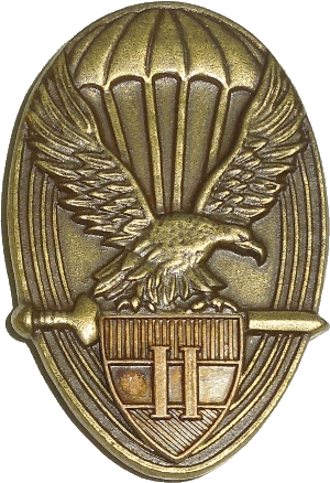 Нагрудный знак Парашютист 2 класса 