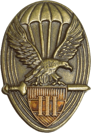 Нагрудный знак Парашютист 3 класса 