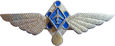 Нагрудный знак Пилот без класса 