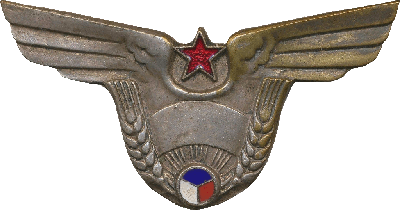 Нагрудный знак Пилот Агроейр 