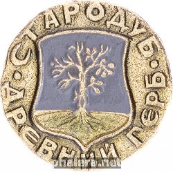 Нагрудный знак Стародуб 