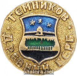 Нагрудный знак Темников 