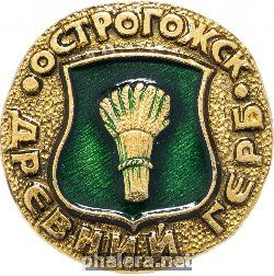 Нагрудный знак Острогожск 