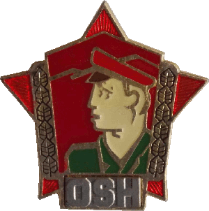 Нагрудный знак Пограничник серебряная степень 