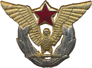 Знак Офицер ВВС