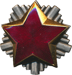 Нагрудный знак Кокарда 
