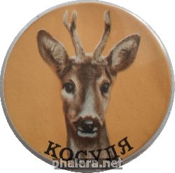 Нагрудный знак Животный мир. Косуля 
