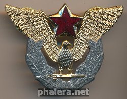 Нагрудный знак Офицер ВВС 