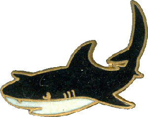 Нагрудный знак АПЛ проект 941 Акула 