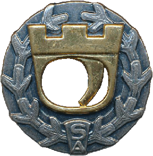 Нагрудный знак За отличную стрельбу 