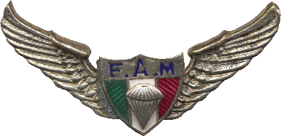 Нагрудный знак Парашютист 