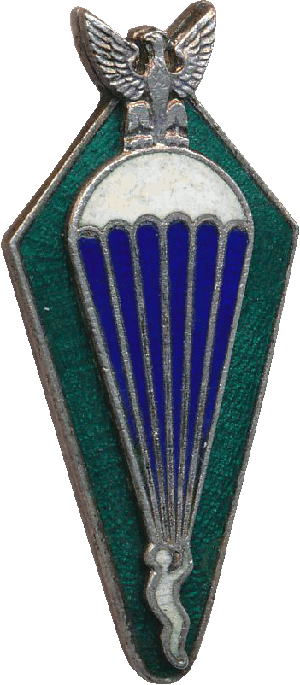 Нагрудный знак Парашютист 