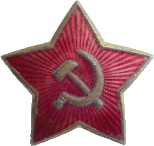 Нагрудный знак Звезда 