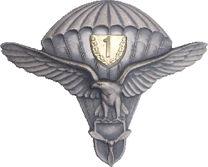 Нагрудный знак Парашютист ВВС 1 класса 