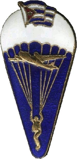 Нагрудный знак Парашютист 