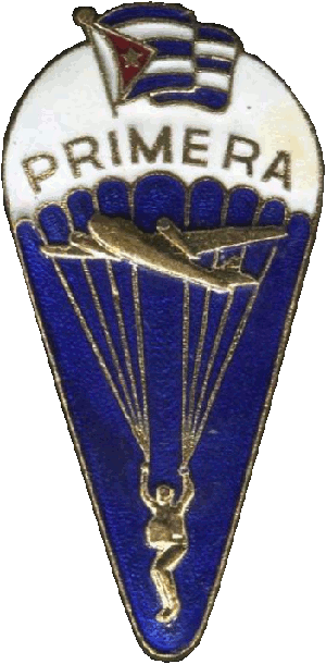Нагрудный знак Парашютист 1 класса 