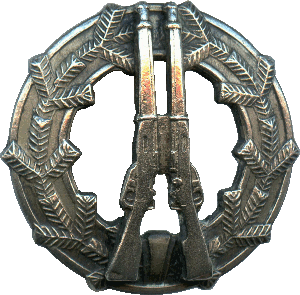 Нагрудный знак За отличную стрельбу из винтовки, серебряная степень 