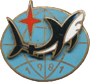 Нагрудный знак АПЛ ТК-208 Дмитрий Донской 1981 