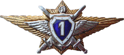 Нагрудный знак Офицер, специалист ВС РФ 1 класса 