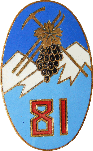 Нагрудный знак 81ый пехотный альпийский полк 